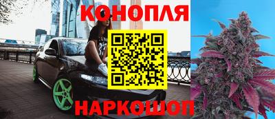 марихуана Кингисепп
