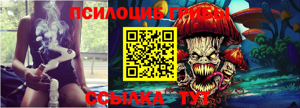Галлюциногенные грибы мицелий Красноармейск