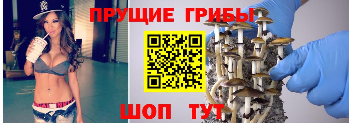Галлюциногенные грибы ЛСД  купить  цена  Красноармейск  Вход с VPN 